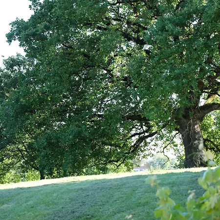 Le Manoir Saint Clair ベッド・アンド・ブレックファスト 3*