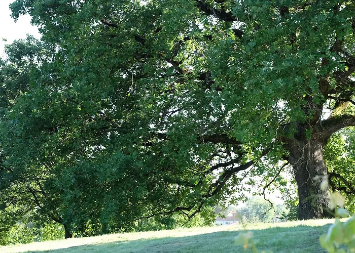 Le Manoir Saint Clair Oda ve Kahvaltı 3*