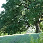 Le Manoir Saint Clair Nocleg ze śniadaniem Balma