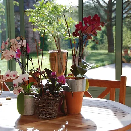 Bed and Breakfast Le Manoir Saint Clair Μπαλμά