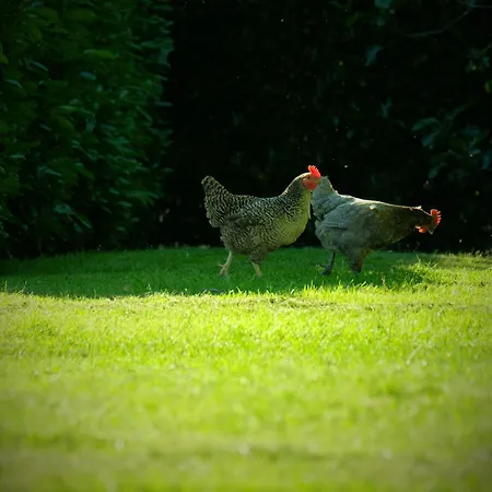 Le Manoir Saint Clair