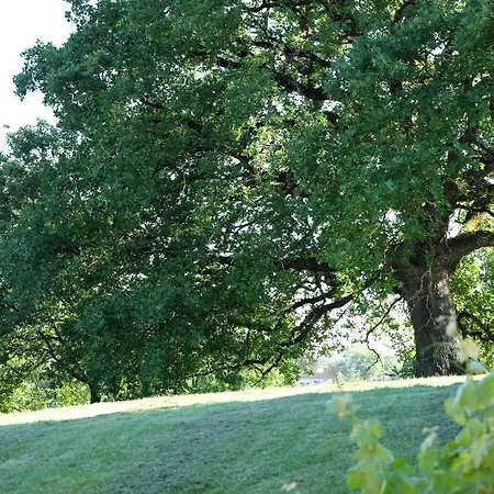 Le Manoir Saint Clair Oda ve Kahvaltı Balma