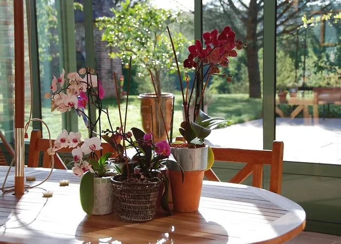 B&B Le Manoir Saint Clair 발마