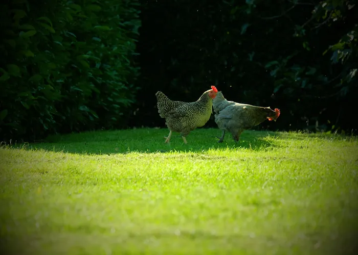 Le Manoir Saint Clair