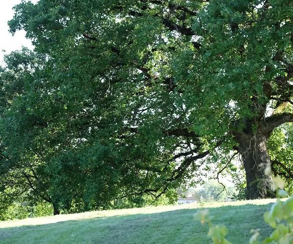 Le Manoir Saint Clair B&B 발마